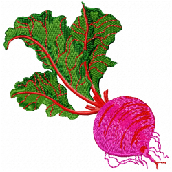 Radish Embroidery Design 9